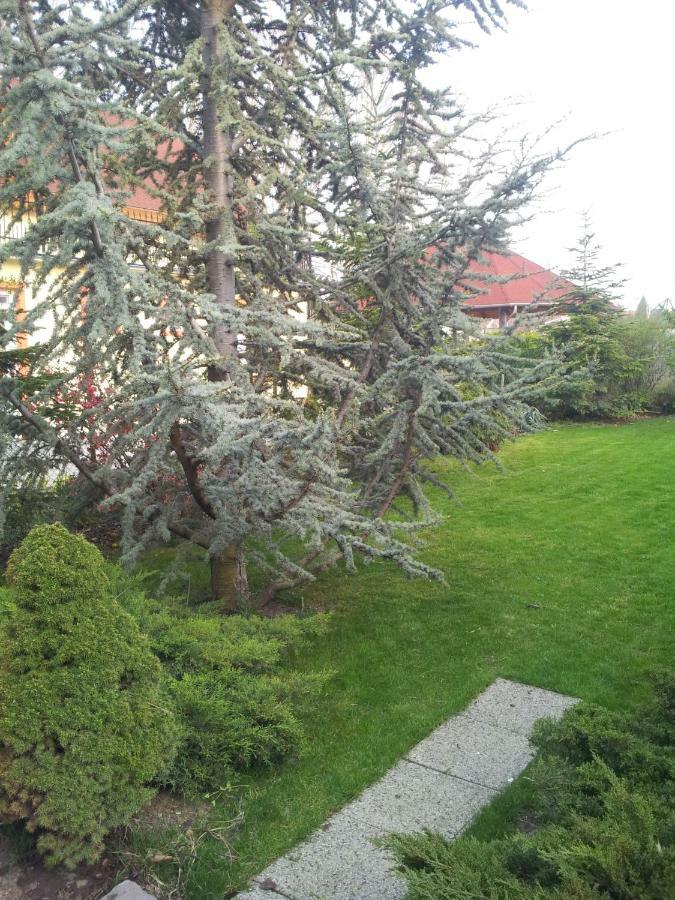 Anna Villa Balatonlelle Kültér fotó